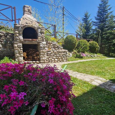 Chalet Mila Mavrovo Exterior photo